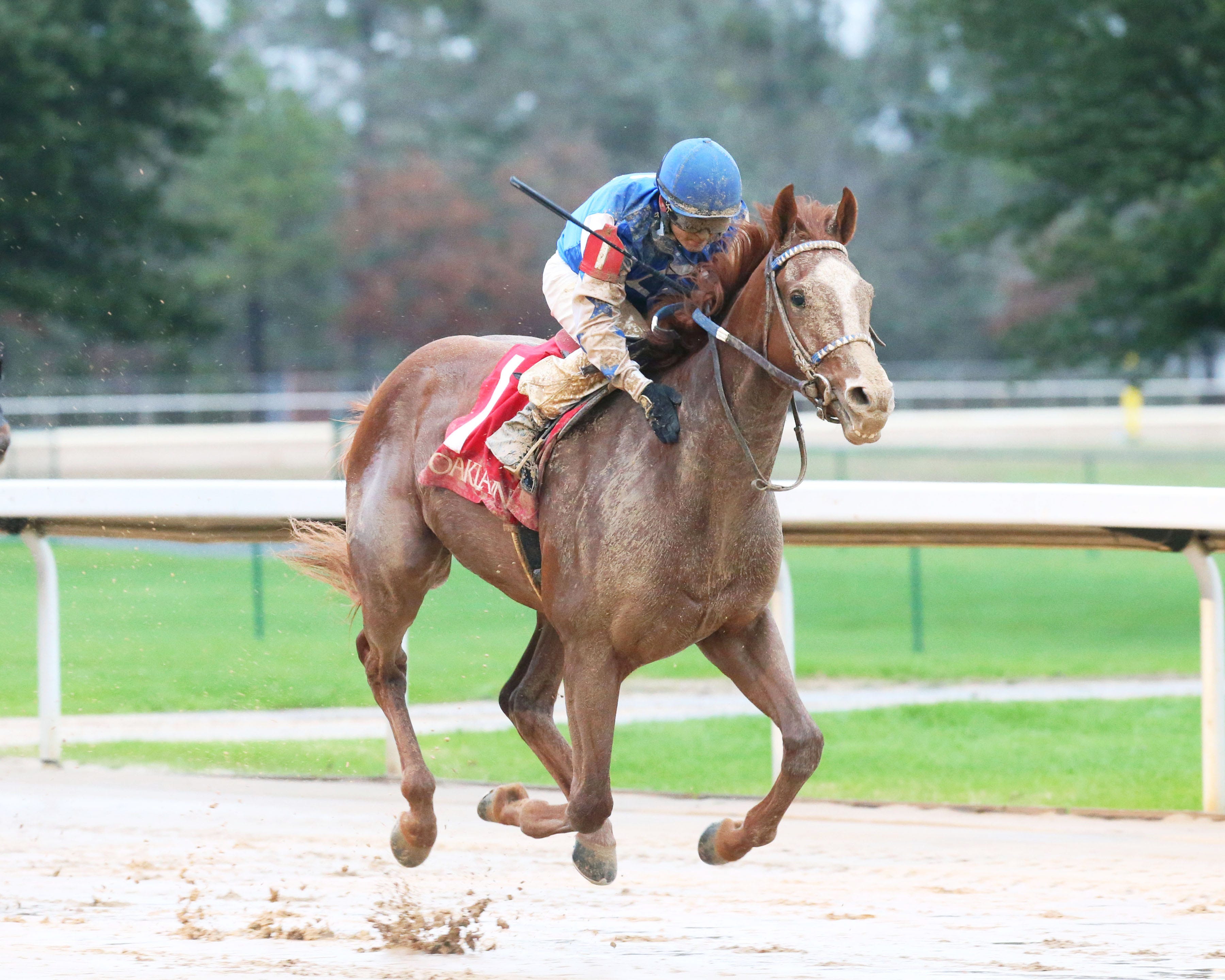 Dash Attack gets onto Kentucky Derby scoreboard with win in Smarty Jones